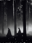 pic for Dark Forest